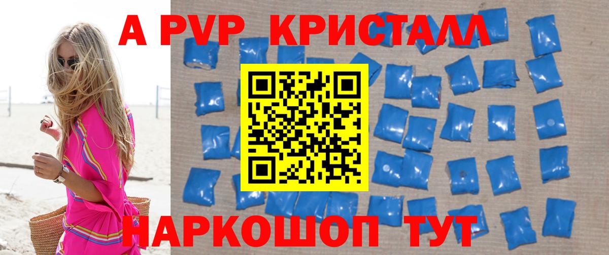 Альфа ПВП СК КРИС Будённовск
