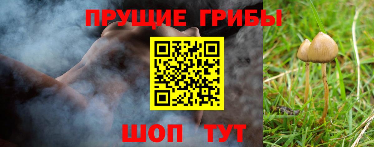 Будённовск  Псилоцибиновые грибы прущие грибы  Вход с VPN 