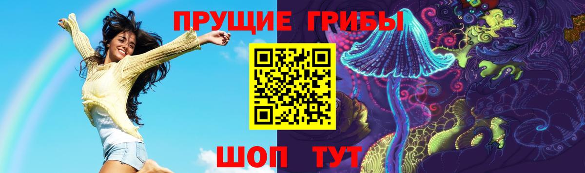 Галлюциногенные грибы Cubensis Будённовск